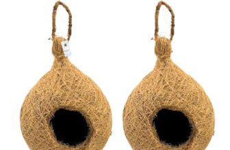 Foodie Puppies Hanging Coconut Fiber Bird Nest – (Buy 1 Get 1 Free) | Suitable for Small Birds Breed | 100% Natural Coir Breeding Nest for Sparrow, Finch, Parakeet, Hummingbird and Other Small Birds