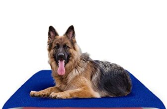 AMORITE Waterproof Reusable Washable Pee Pads & Hygenic Pet Dry Sheet | Training Pads for All Pet | Size- 140 x 100 Large Combo (Color, Royal Blue + Salman Rose)