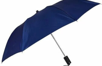 Rainora Umbrella for Men & Women, 2 Fold Auto Open, 8 Metal Ribs, Strong 1Pc Umbrella(Blue)