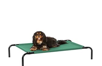 AmazonBasics Small Elevated Cooling Pet Dog Cot Bed – 36 x 22 x 7.5 Inches, Green
