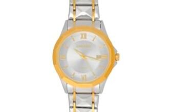 ZAVOURE Men’s Chronograph Watch, Stainless Steel Case, Analog Display, Gold, Round Dial, Water Resistant 30M (Gold, Stainless Steel) Radiant Champaign