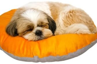 The Pets Company Calming Dog & Cat Bed | Soft Fluffy Donut Reversible, Washable Pet Bed for Kittens Puppies | Cozy Plush Anti-Anxiety Cushion |, (L-22 Inch x B-22 Inch x H-4 Inch), Orange & Grey-XS