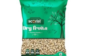 Scorist Premium Sunflower Seeds 500g I Sunflower Seeds for Eating | Diet Food | Healthy Snack | Raw seeds | Weight management | Source of Antioxidants
