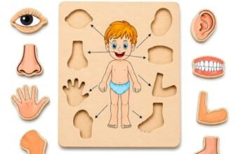 MKV MART Body Part Puzzle Kids Wooden Toys for Kids 3 + Jigsaw Puzzles for Adults Baby Learning Toys Educational Toys Game for Learning Human Body Parts Anatomy Skeleton – Gift Toys for Boy and Girl