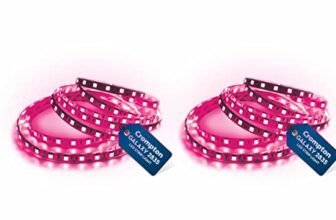 Crompton 25W LED Strip Light | 5 Meter Pink Light | Roll with 300 LEDs | 22 Lumens/LED | Bright & Energy Saving | Flexible Lighting | Without Driver | Pack of 2
