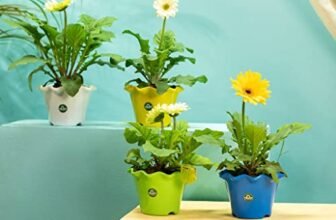 TrustBasket Blossom Pot 6-inch Table Top Planter Pot (Pack of 4) | Heavy Duty Plastic Indoor and Outdoor Planter for Home Decor