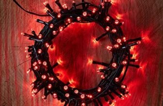 Lexton Decorative 3 Meter Rice Light (Red, Pack of 2)