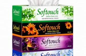 Softouch Super Soft 2 Ply Facial Tissue Paper Box Pack of 4 | 100 Pulls X 4 Car Tissue Box | Soft on Skin | 100% Virgin Paper