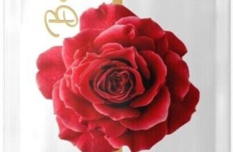 BANSI Premium Belgian Rose Zipper Agarbatti Gulab(100 g, Set of 1)