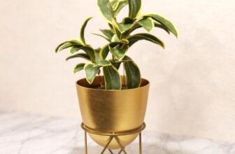 Lifelong Metal Plant Stand Indoor Planter Pot with Stand, Decorative Plant Holder for Living Room Bedroom Office, Minimalist Home Decor, Small Flower Pot Stand for Tabletop Indoor Plants