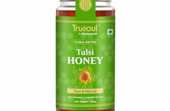 Baidyanath Trusoul Pure & Natural Tulsi Honey 500g | Wild Forest Sourced | Natural Immunity Booster | Raw & Unprocessed Honey | No Adultration | Glass Jar | Lab Certified