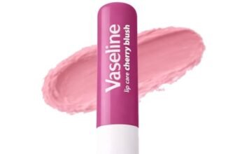 Vaseline Lip Care | Cherry Blush Tinted Lip Balm Stick | up to 48Hr moisturization | with petroleum jelly & Vitamin E | made in South Korea | 4.8g