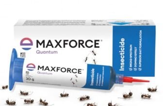 Maxforce Quantum Ant Killer Gel | Ant Control – Bait for Home & Kitchen | Ant Killer Gel | Long Lasting Ant Control | 30g