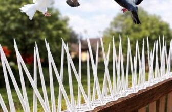 XONOV Bird and Pigeon Spikes, Pigeon Control Spikes Anti Bird Plastic Spikes for AC Balcony Railing Window Home Protection from Pigeon Dog Monkey Crow Kabootar Transparent (Pack of 5 (13 Inch))
