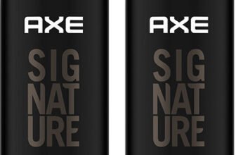 AXE SIGNATURE Dark Temptation Deodorant No Gas Body Perfume Deodorant Spray  –  For Men(400 ml, Pack of 2)