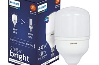 Philips 40W B22 LED Cool Day Light Light, Pack of 1