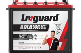 Livguard 3 Year Warranty Tubular Inverter Battery(150 Ah, BW15036TT)