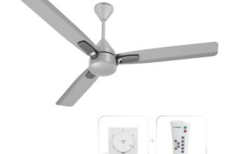 Crompton Caelum with 4 Year Warranty BLDC with Remote and Regulator 1200 mm Ceiling Fan(5 Star | Metallic Grey | Pack of 1)