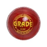 DSC Grade Cricket Leather Ball – Premium Alum Tanned, Four-Piece Professional Match Ball – Standard Weight & Size (Red, Pack of 1)
