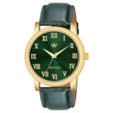 CRESTELLO Green Faux Leather Strap Analog Wrist Watch for Men (Green Dial) | 1 Year Warranty* | CR-GLD252-GRN