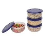 Cutting EDGE 900ml Eco-Storage Plastic Container & Organizer Set of 4 for Kitchen, Refrigerator, Lunch & Food Storage (Dark Blue)
