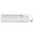 Casio Ladies LTP-VT03BL-7BDF Analog White Dial Women (A2427)