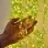 Desidiya® 360° Galaxy Star Projector with Timer & Remote Control, Ideal for Bedroom Ceiling, Home Decor, and Parties (Corded Electric)
