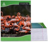Classmate Notebook Regular Notebook Single Line 172 Pages(Multicolor, Pack of 12)