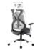 FABASIAN Ergonomic High Back Mesh Office Chair with Adjustable Headrest & Lumbar Support, Executive Computer Desk Chair with Armrests, Swivel Rolling Chair for Home Office