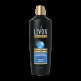LIVON Hyaluron Shampoo | Hydrates Dry & Dull Hair | 2x Soft & Shiny Hair | No Parabens(340 ml)
