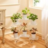 Amazon Basics Metal Planter Stand for Living Room, Indoor Outdoor Plant Stand for Balcony and Home Decor, Holds 6 Planters, White