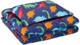 AmazonBasics Kid’s Comforter Set – Soft, Easy-Wash Microfiber – Twin, Multi-Color Dinosaurs
