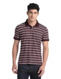 Arrow Horizontal Stripe Logo Polo Shirt Maroon