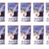 Fiama Gel Bar Mega Celebration Pack 1kg (125g Pack of 8) | 8 Unique Soap Variants | Moisturised Skin with 30% Smoothing Body Serum | Bathing Soap Gift Set for Women & Men | All Skin Types