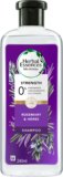 Herbal Essence bio:renewRosemary and Herbs SHAMPOO,240ml, No Parabens No Colorants(240 ml)