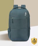 SKYBAGS Biz (E) 17 L Laptop Backpack(Grey)