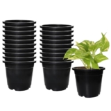Amazon Brand – Solimo 100% Virgin Plastic Round Nursery Planter Pot | Indoor and Outdoor Flower Pot for Home/Office/Table/Garden/Balcony Decoration | 6 inch, Set of 20 | Black