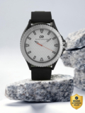 PETER ENGLAND Analog Watch  – For Men