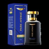 PARK AVENUE Harmony Eau de Parfum Eau de Parfum  –  100 ml(For Men)