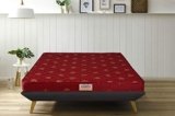 Springtek Amaze Eco Premium High Density Foam Mattress | 4 Inches Quilted Anti-Microbial Fabric Eco HD EPE Foam Mattresses | Double Size Gadda | 72×48 Inches