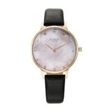 Titan Raga Showstopper Quartz Analog Mother of Pearl Dial Leather Strap Watch for Women-95274WL01