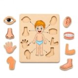 MKV MART Body Part Puzzle Kids Wooden Toys for Kids 3 + Jigsaw Puzzles for Adults Baby Learning Toys Educational Toys Game for Learning Human Body Parts Anatomy Skeleton – Gift Toys for Boy and Girl
