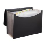 Amazon Basics Expanding File Folder with 13 Pockets, Letter Size, Also Fits A4 Size Documents (Black)