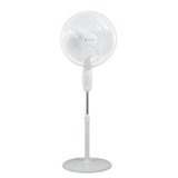 SINGER Brissa 31 High Air Delivery Pedestal Fan | 60W Power Saving | 100% Copper Motor | 75 CMM Air Flow | Silent Operation | Adjustable Height | 2 Years Warranty | ISI Certified