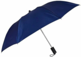 Rainora Umbrella for Men & Women, 2 Fold Auto Open, 8 Metal Ribs, Strong 1Pc Umbrella(Blue)