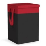 LAXIS® 75L Laundry Bag for Clothes with Lid, Large Dirty Clothes Laundry Basket & Cloth Storage Bin, Used Clothes Organizer, Multipurpose Laundry Basket for Bedroom & Bathroom – Red