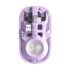 Kenstar Voltra 1000 W Dry Iron(White & Black)